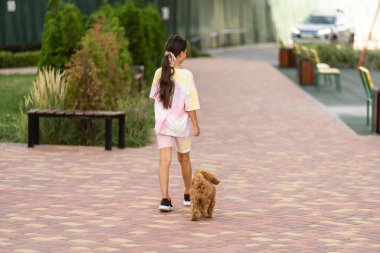 Sahibi olan küçük köpek bir gününü parkta oyun oynayarak ve eğlenerek geçiriyor.