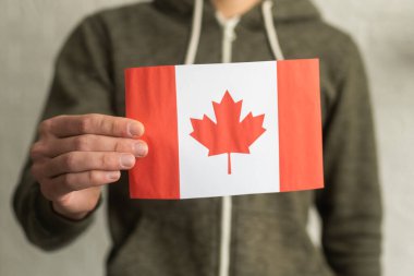 Canadian flag in hands on white.