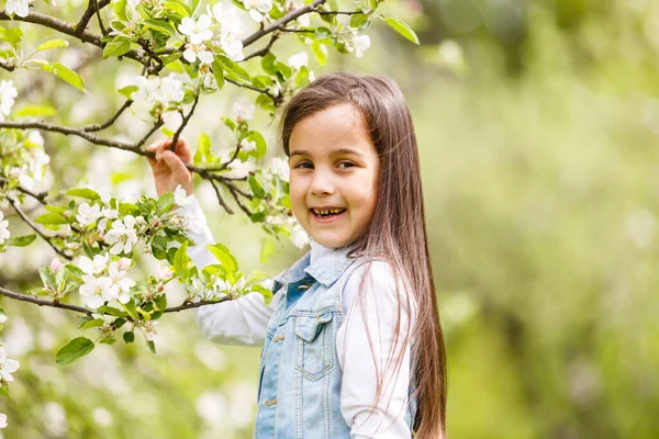 Красива Маленька Дівчинка Біля Розквітлого Дерева — стокове фото
