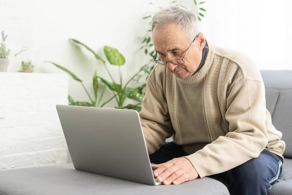 Busy Smart Mature Professional Man Using Laptop Sitting Middle Aged — Stok fotoğraf