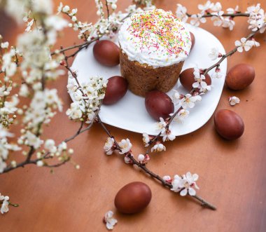 Paskalya kompozisyonu. Çiçekli bir kayısı dalı, boyanmış yumurtalar ve şeker parçacıklarıyla süslenmiş paskalya pastası..