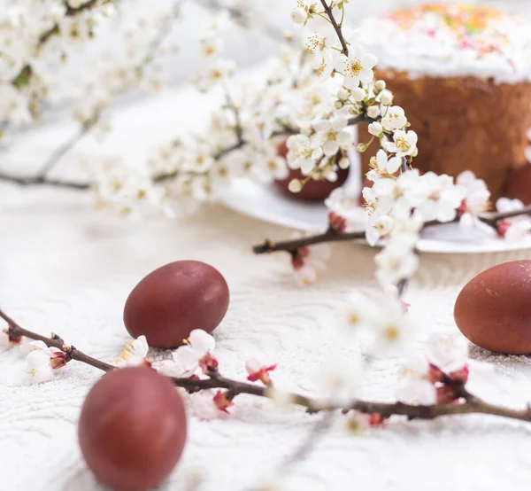 stock image Easter composition. A blooming apricot branch, painted eggs and a glazed Easter cake decorated with sugar sprinkles.