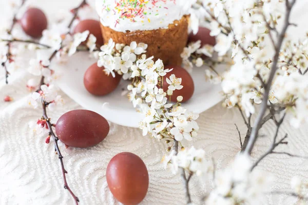 stock image Easter composition. A blooming apricot branch, painted eggs and a glazed Easter cake decorated with sugar sprinkles.