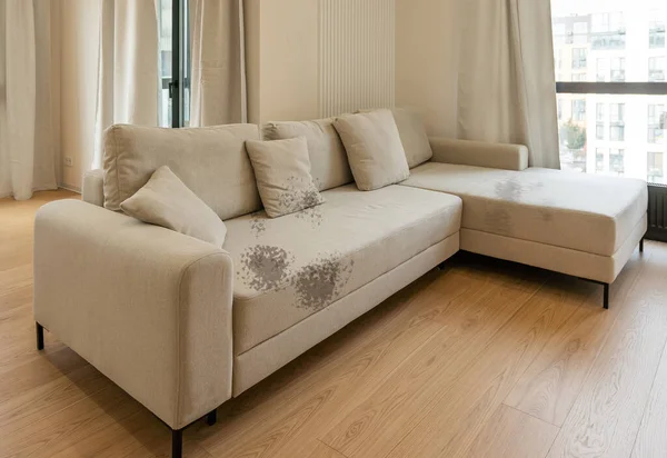 Schmutzige Flecken Auf Grauem Sofa Wohnzimmer — Stockfoto