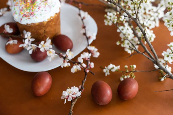 Kleurrijke Paaseieren Met Lentebloesem Bloemen Gekleurde Eieren Vakantie Grens Paastaart — Stockfoto