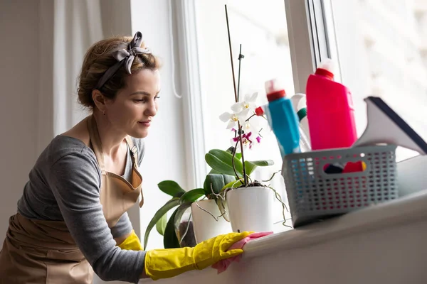 Młoda Kobieta Wykonuje Prace Domowe Kobieta Narzędziami Sprzątania Kobieta Gumowych — Zdjęcie stockowe