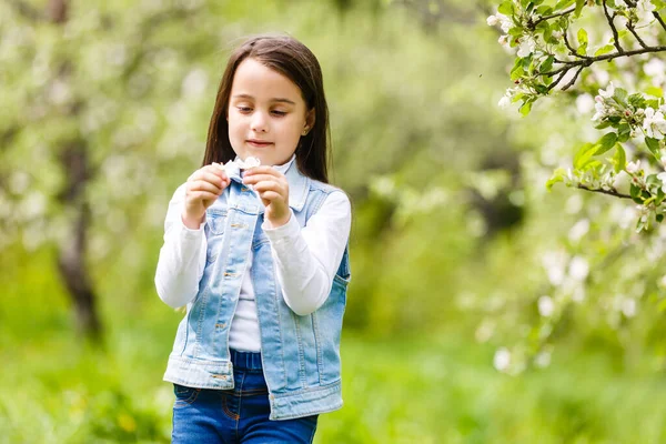 Portrait Beautiful Little Girl Blossoming Apple Tree — Stock Photo, Image