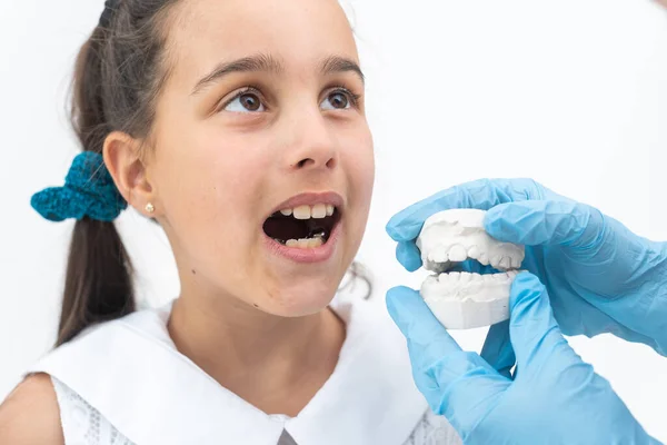 Modelowanie Sztucznych Zębów Modelu Gipsowym — Zdjęcie stockowe