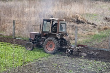 Yaşlı Belarus traktörü yerde..
