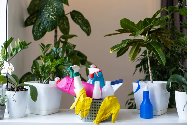 Behandlung Von Topfpflanzen Gegen Pflanzenschädlinge Zimmerblumen Drogen Flaschen Mit Pflanzenschutzmittel — Stockfoto