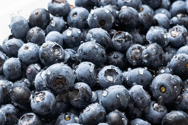 blueberry. Fresh Bilberries. Close-up background