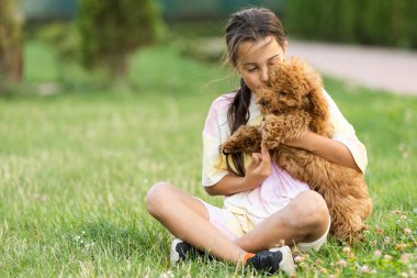 a little girl playing with her maltipoo dog a maltese-poodle breed.