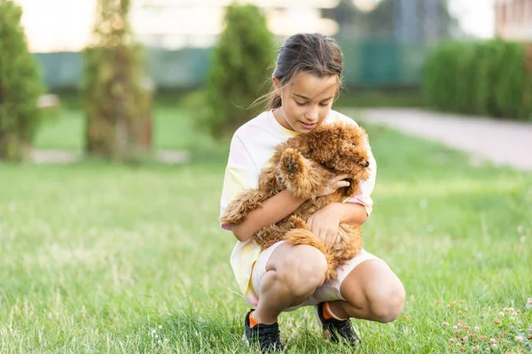 Menina Com Filhote Cachorro Maltês Verão Livre — Fotografia de Stock