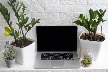 Yeşil santralleri ve boho iç dekorasyonu olan modern moda ofis işyeri. Ekran dizüstü bilgisayarı ile natürmort.