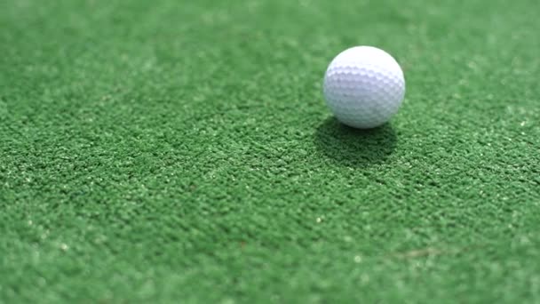 Golflabda Zöldön — Stock videók