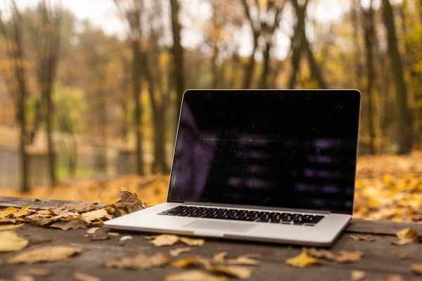laptop in the autumn forest.