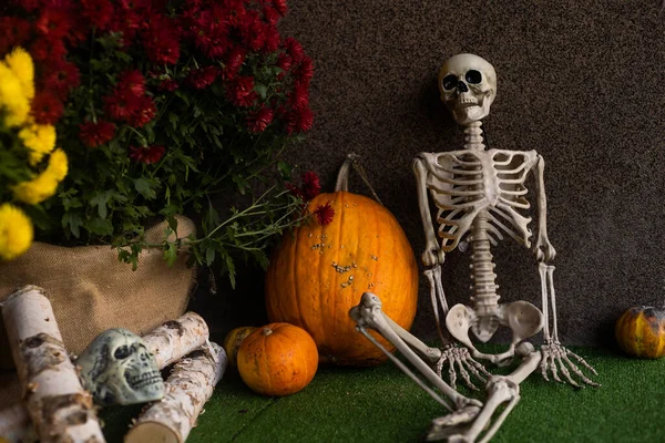 Cenário Halloween Outubro Decoração Pátio Proprietário Dos Esqueletos Casa — Fotografia de Stock