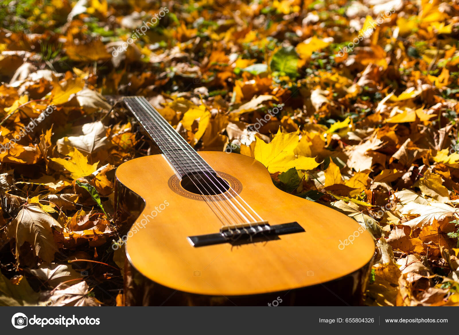 Κιθάρας Και Φύλλα Του Φθινοπώρου — Φωτογραφία Αρχείου © sinenkiy #655804326