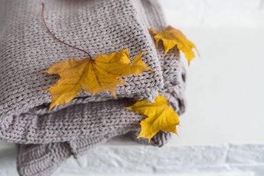 Sarı ve Ultimate Gray. Yünlü örgü battaniye, akçaağaç yaprağı, sonbahar sıcacık konsepti..