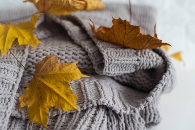 Sarı ve Ultimate Gray. Yünlü örgü battaniye, akçaağaç yaprağı, sonbahar sıcacık konsepti..