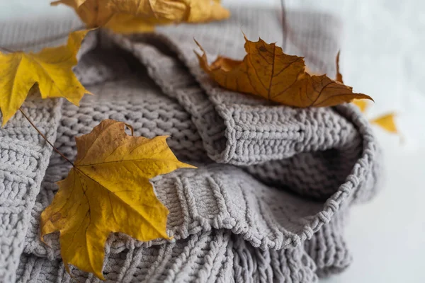 Sarı ve Ultimate Gray. Yünlü örgü battaniye, akçaağaç yaprağı, sonbahar sıcacık konsepti..