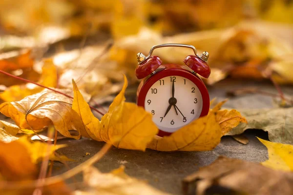 Alarm Saati Akçaağaç Sonbahar Yaprakları Sarı Arkaplanda — Stok fotoğraf