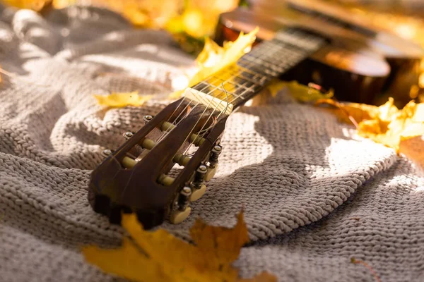 Żółte Liście Klonu Leżą Gitarze Kratę Parku Boczny Widok Jesień — Zdjęcie stockowe