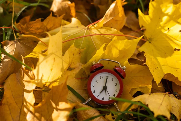Alarm Clock Maple Autumn Leaves Yellow Background — Stock Photo, Image