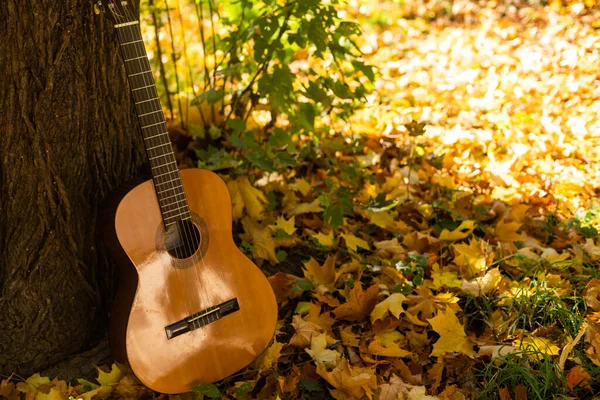 Guitarra Apoiada Uma Árvore Outono Cercada Por Folhas Amarelas — Fotografia de Stock