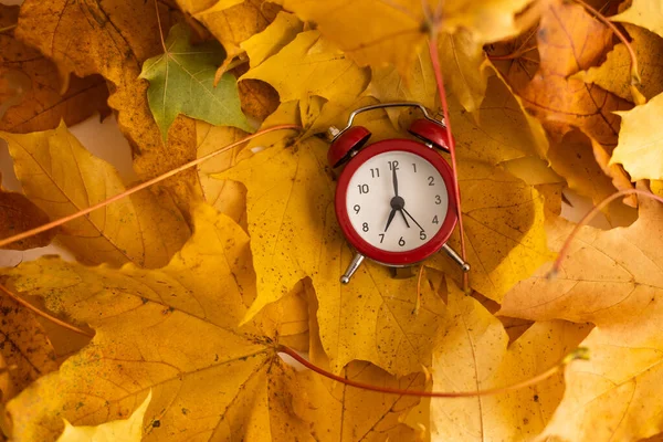 Red alarm clock and flying leaves on autumnal orange background. Back to school concept