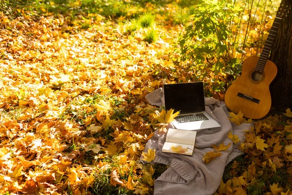 Κιθάρα Κίτρινα Φύλλα Και Φορητό Υπολογιστή — Φωτογραφία Αρχείου
