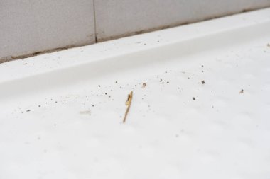 Duş kabininden eski silikonu çıkarıyorum..