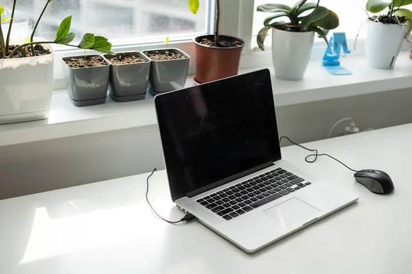 自宅のオフィスにノートパソコンとコーヒーカップ付きの職場のデザイン 高品質の写真 — ストック写真