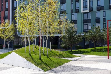 Apartmanın pencerelerinin altında yeşil çimlerin üzerinde evin girişine yakın uzun çimenler vardı, baharda bir çalı çiçek açtı. Güneşli hava.