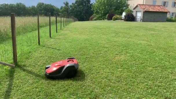 Automatic Lawn Mower Robot Mowing Grass High Quality Footage — Stock Video