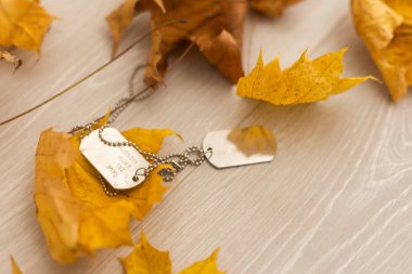 Kuru sonbahar yaprakları ve bir askeri etiket