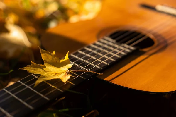 吉他靠在一棵树上 周围长满了黄叶 — 图库照片