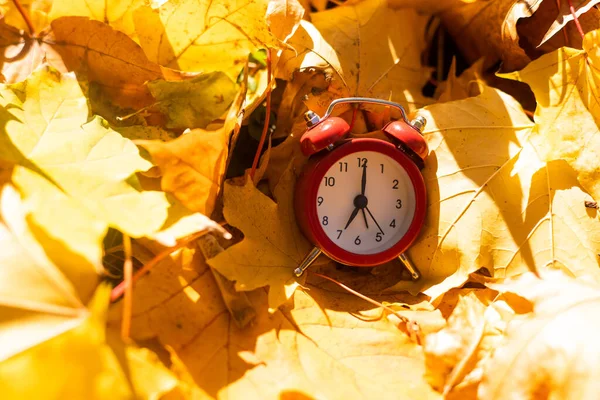 Годинник Листя Жовтому Фоні Боке — стокове фото