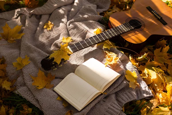 Kitapları Gitarı Ekoseli Sonbahar Arkaplanı — Stok fotoğraf