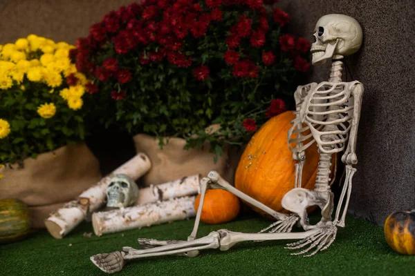 Szenerie Für Halloween Oktober Dekoration Hof Der Besitzer Der Skelette — Stockfoto