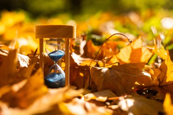 Autumn Time Theme Sandglass Fallen Leaves Various Colors Copy Space — Stock Photo, Image
