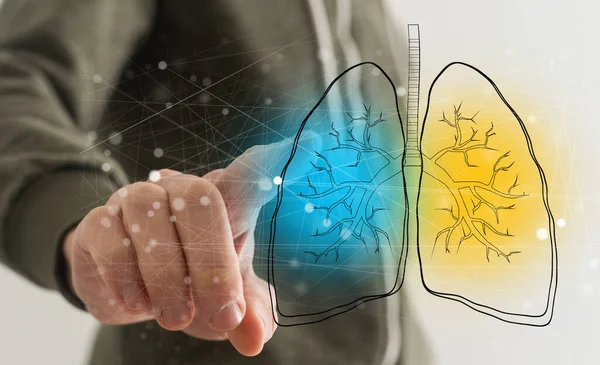 Piękna Ludzka Anatomia Płuc Tle Nauki Ilustracja — Zdjęcie stockowe