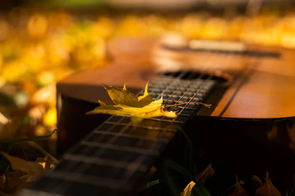 吉他和秋叶背景 — 图库照片