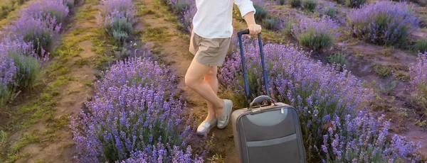 薰衣草地里提着行李的妇女 — 图库照片