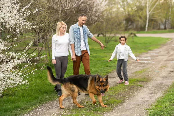 Família Com Criança Pequena Cachorro Livre Pomar Primavera — Fotografia de Stock