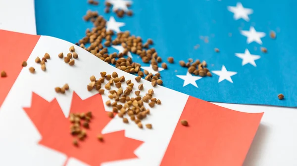Kanada Arasındaki Tahıl Anlaşması Tahıl Ihracatı Ukrayna Bayrağı Evet Yüksek — Stok fotoğraf