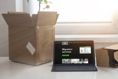 Woman fills out application to Consular Section of Embassy to obtain visa online