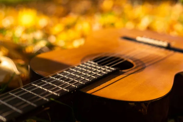 ギターと秋の葉の背景 — ストック写真
