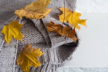 Sonbahar kompozisyonu. Sıcak örülmüş ekose, beyaz arka planda sarı yapraklar. Sonbahar, sonbahar konsepti.