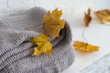 Beyaz arkaplanda sonbahar kompozisyonu ekose ve sarı yapraklar